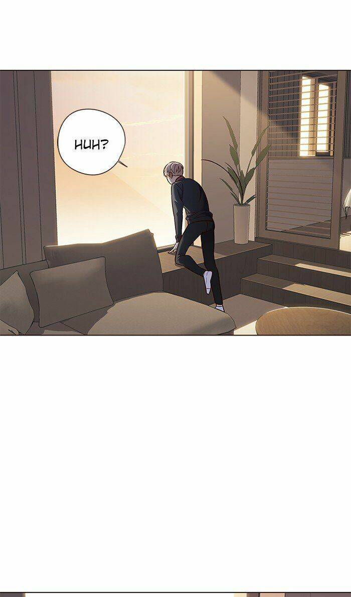 Hoá Thân Thành Mèo - Chapter 80 - Page 44