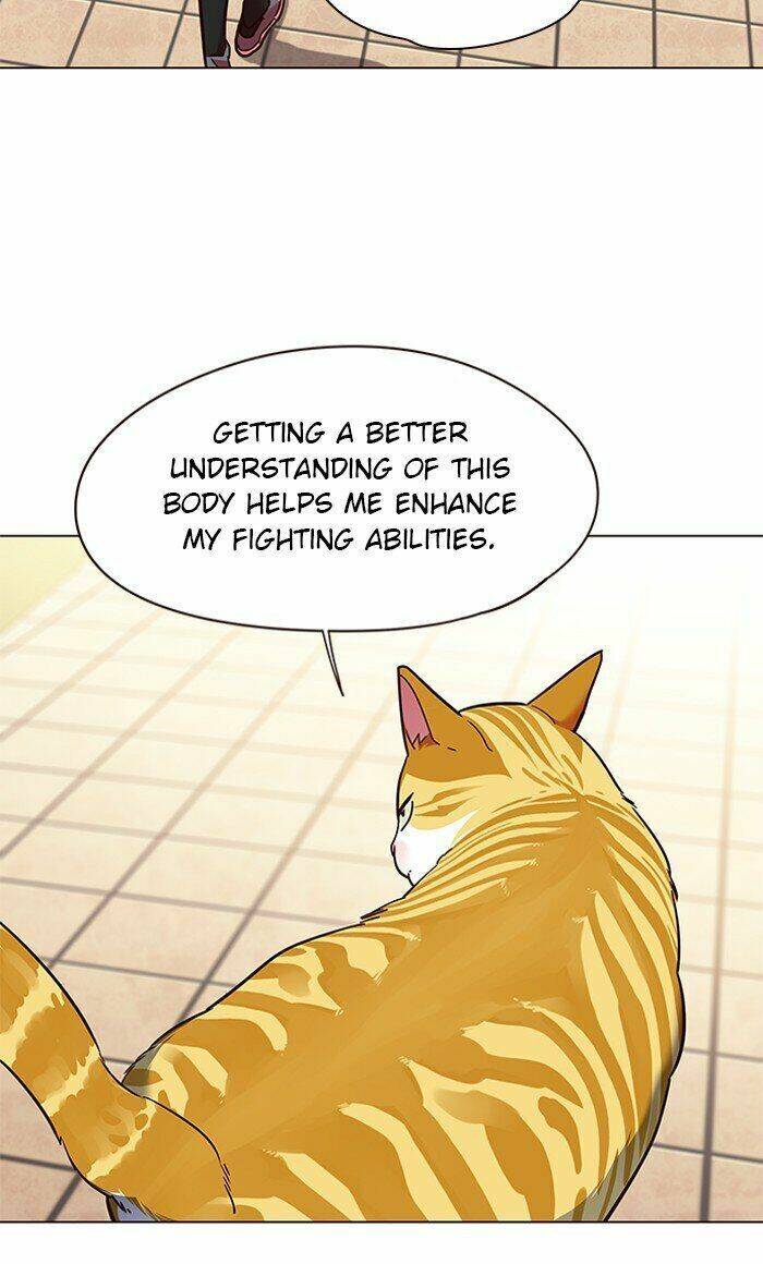 Hoá Thân Thành Mèo - Chapter 80 - Page 49