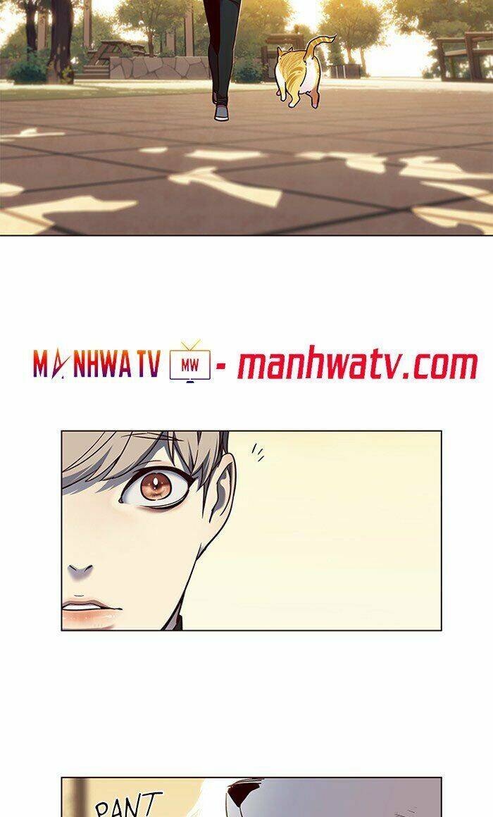 Hoá Thân Thành Mèo - Chapter 80 - Page 53