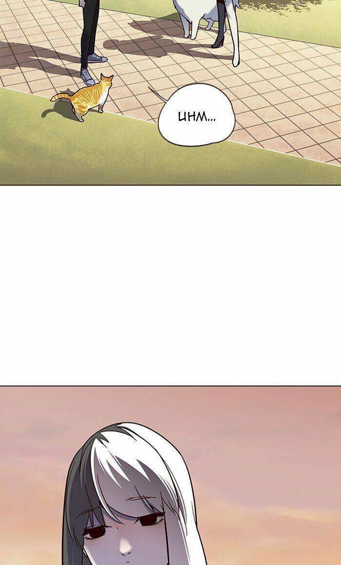 Hoá Thân Thành Mèo - Chapter 80 - Page 61