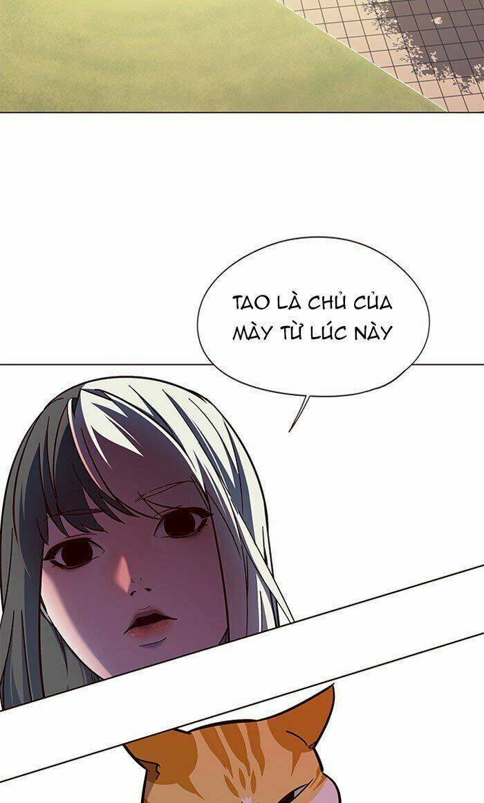 Hoá Thân Thành Mèo - Chapter 80 - Page 66