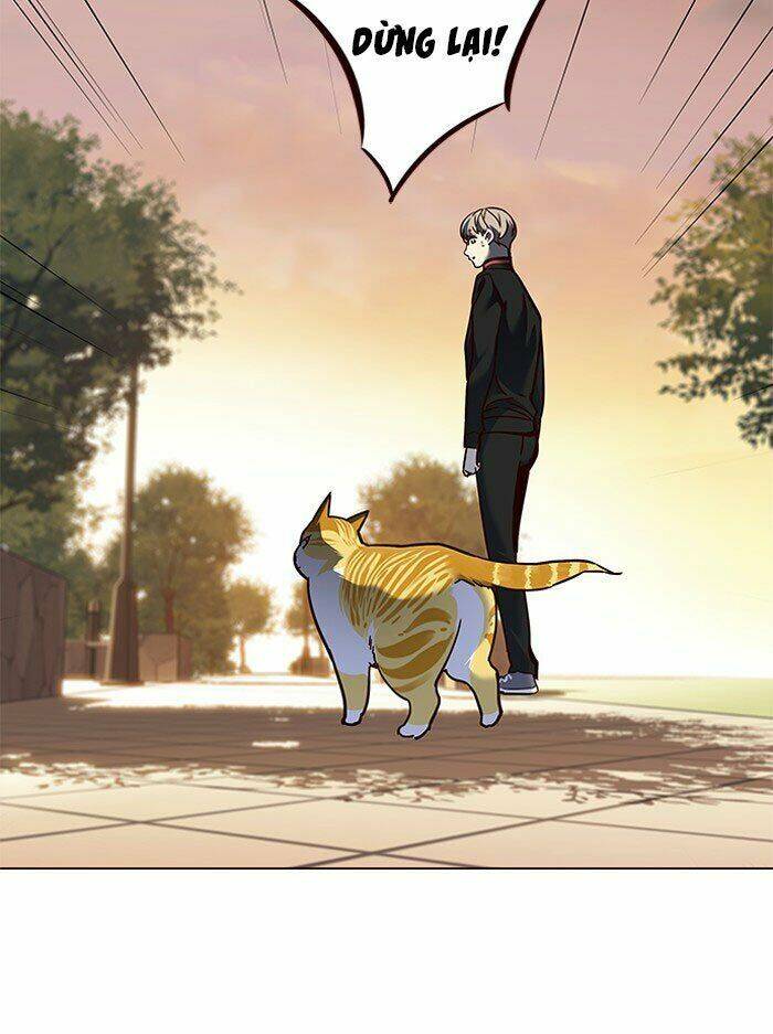 Hoá Thân Thành Mèo - Chapter 80 - Page 69