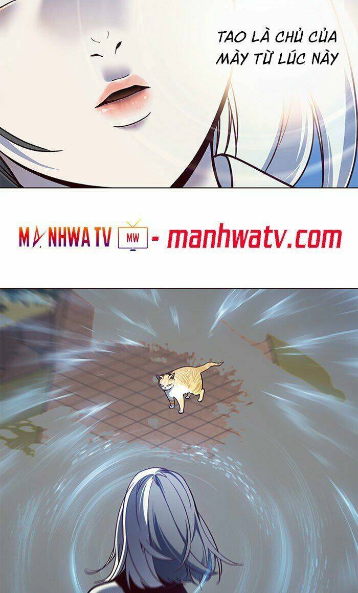 Hoá Thân Thành Mèo - Chapter 80 - Page 73
