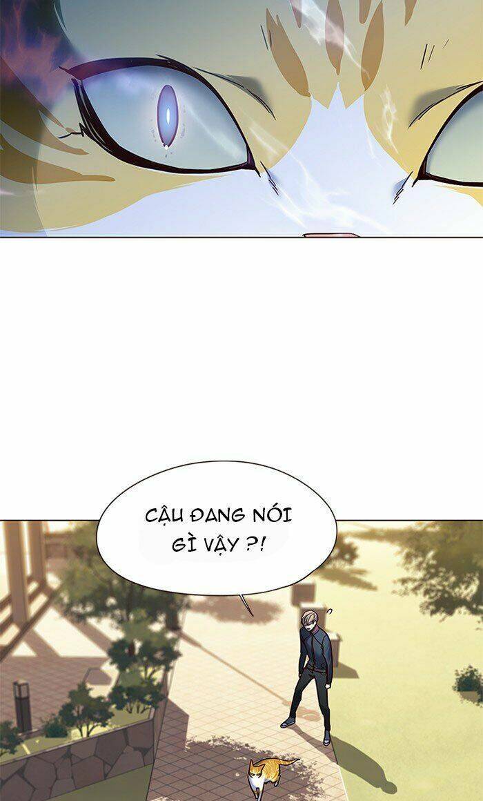 Hoá Thân Thành Mèo - Chapter 80 - Page 75