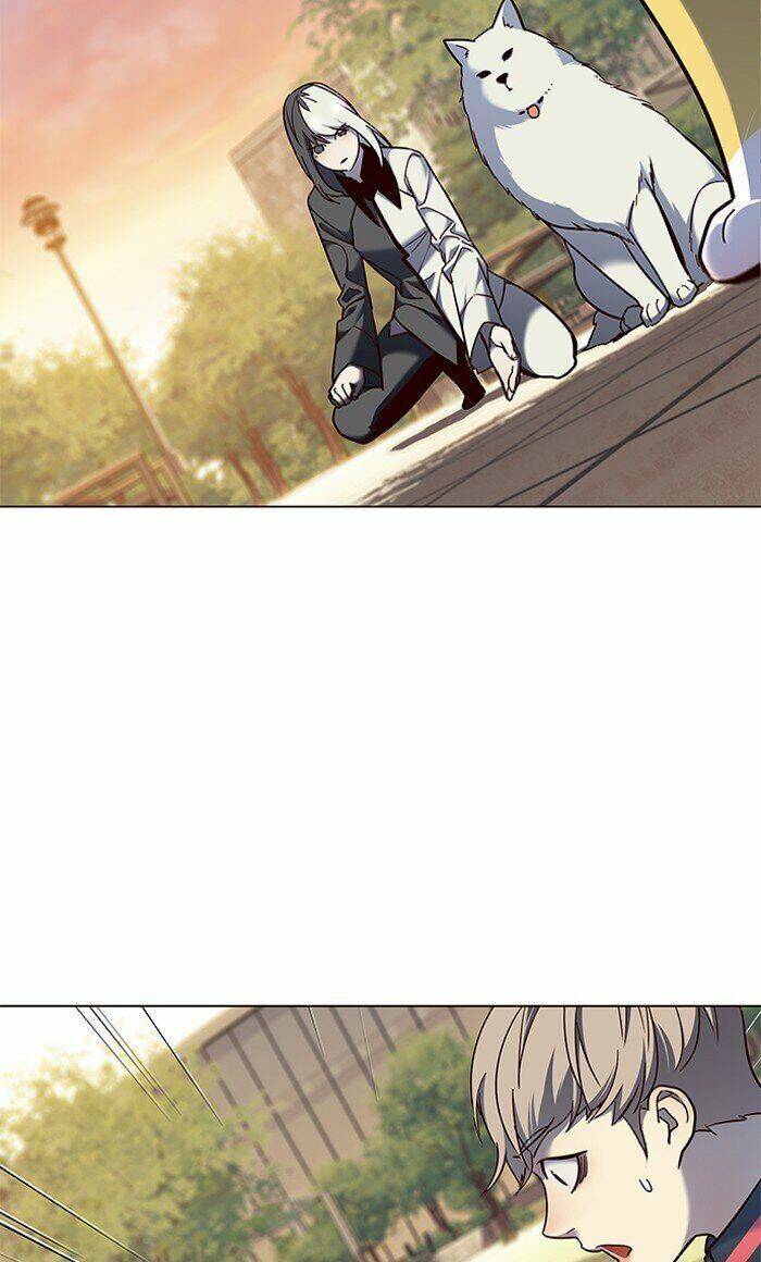 Hoá Thân Thành Mèo - Chapter 80 - Page 77