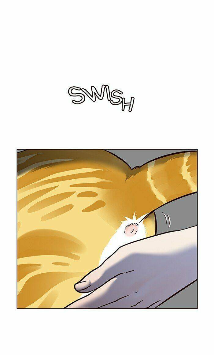 Hoá Thân Thành Mèo - Chapter 80 - Page 82