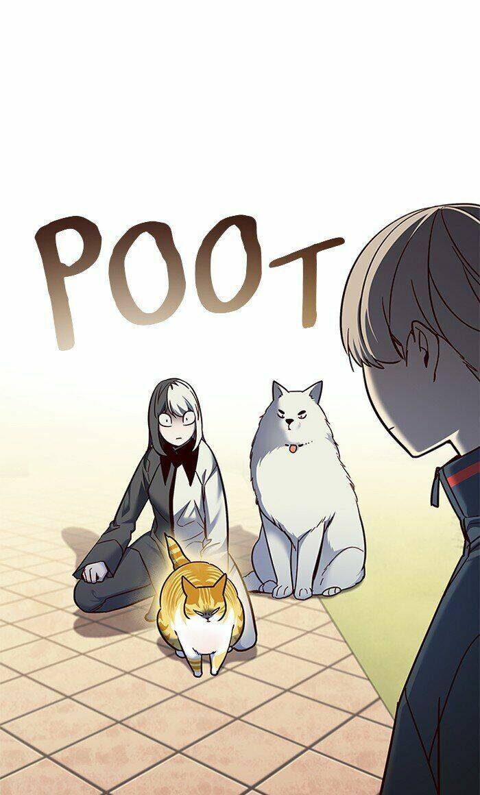 Hoá Thân Thành Mèo - Chapter 80 - Page 84