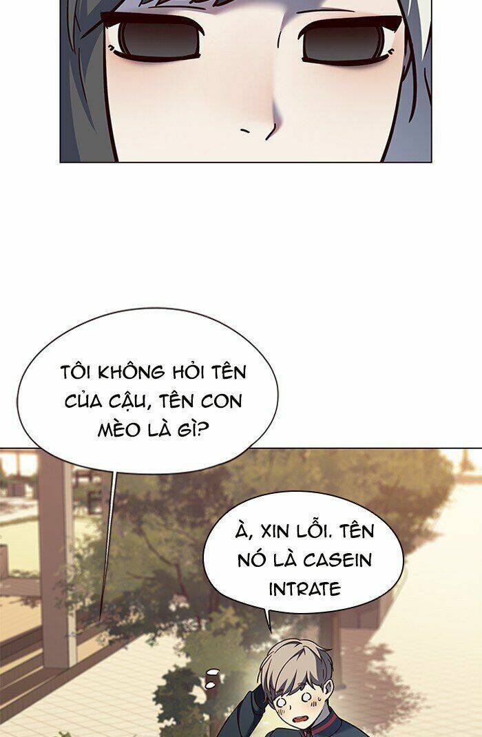 Hoá Thân Thành Mèo - Chapter 81 - Page 19