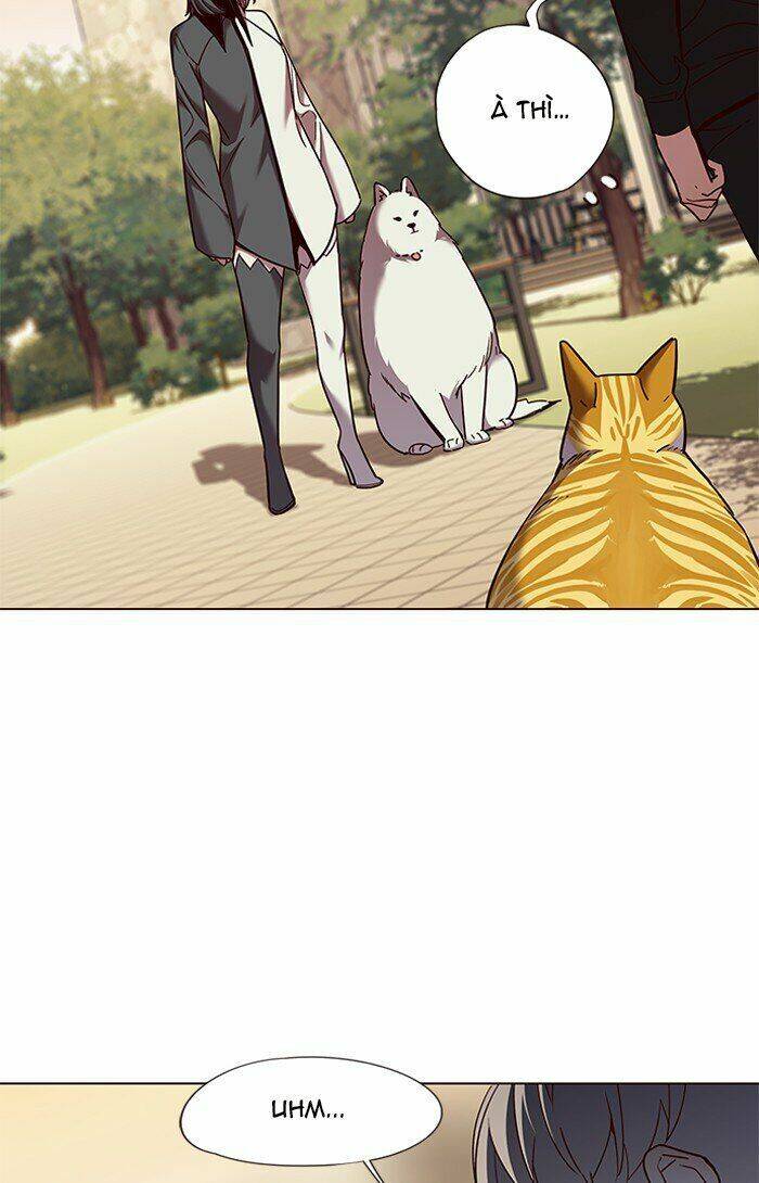 Hoá Thân Thành Mèo - Chapter 81 - Page 31