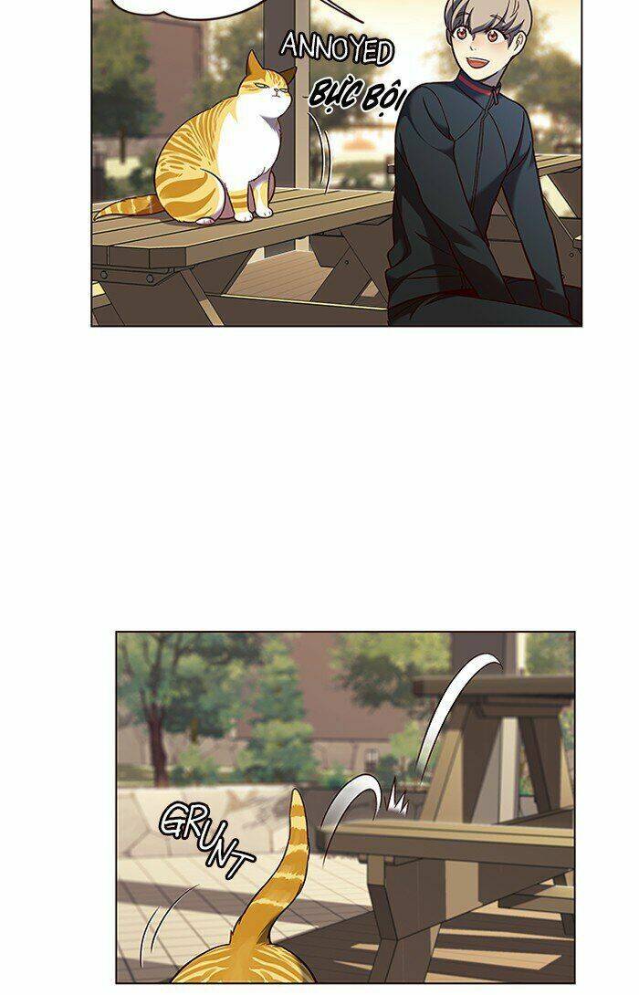 Hoá Thân Thành Mèo - Chapter 81 - Page 45