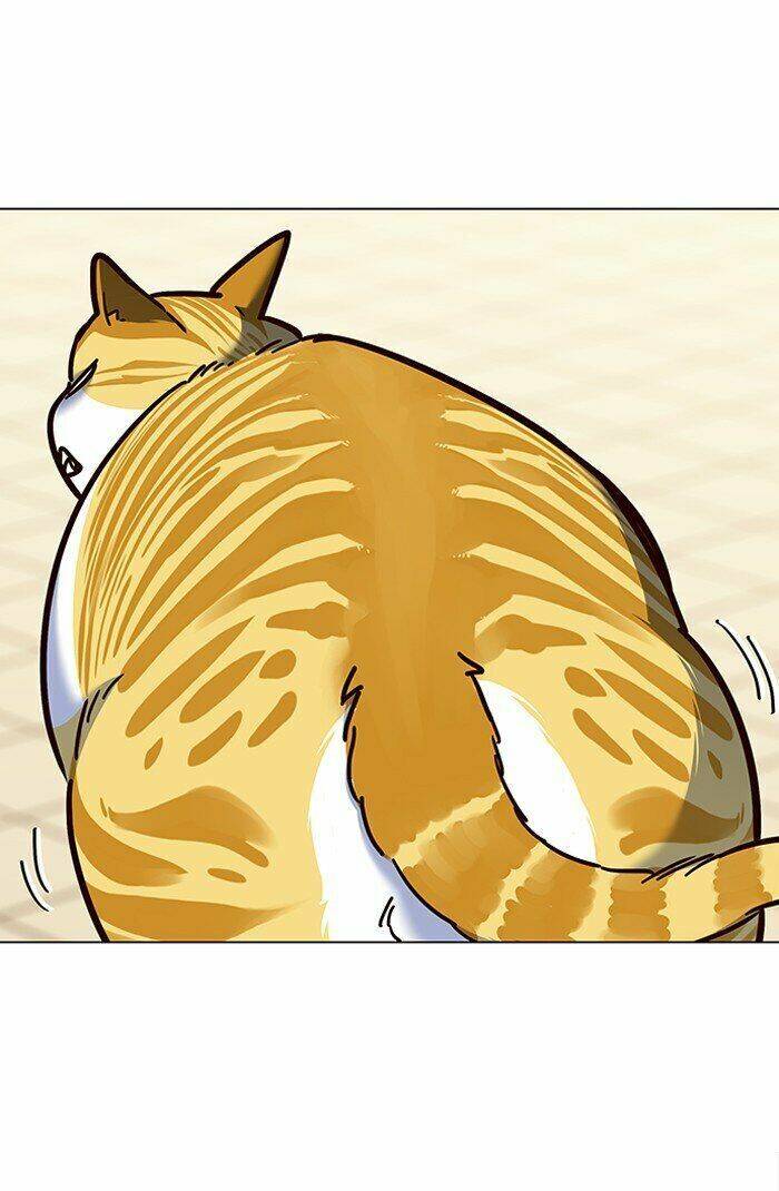 Hoá Thân Thành Mèo - Chapter 81 - Page 7