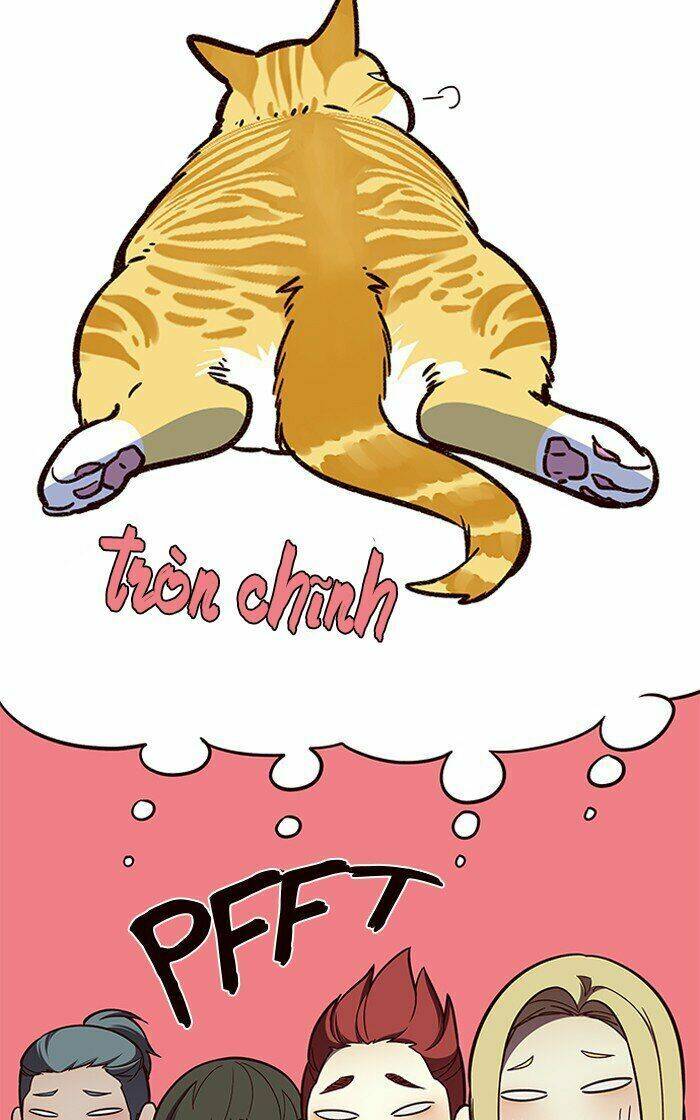 Hoá Thân Thành Mèo - Chapter 81 - Page 91