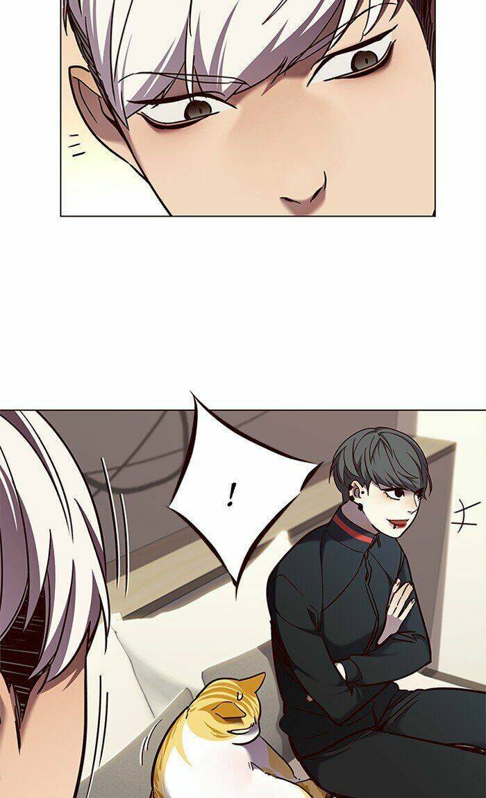 Hoá Thân Thành Mèo - Chapter 82 - Page 38