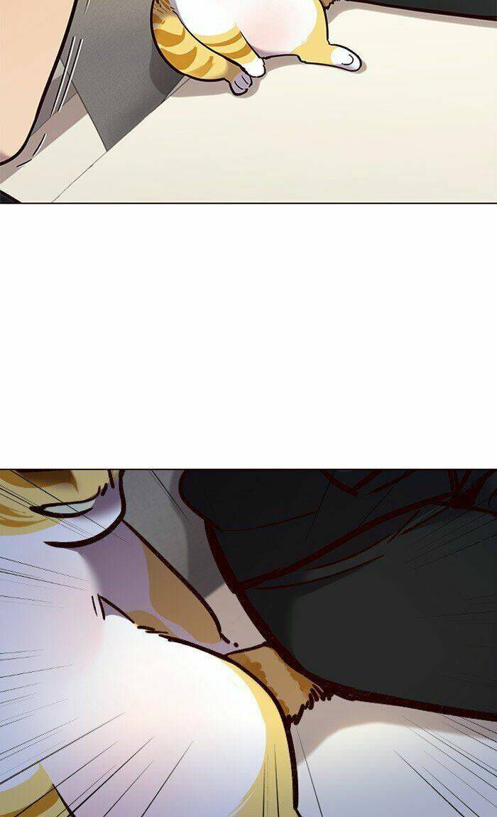 Hoá Thân Thành Mèo - Chapter 82 - Page 39