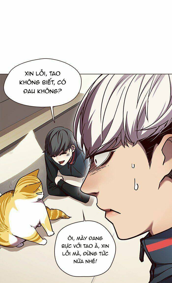 Hoá Thân Thành Mèo - Chapter 82 - Page 50