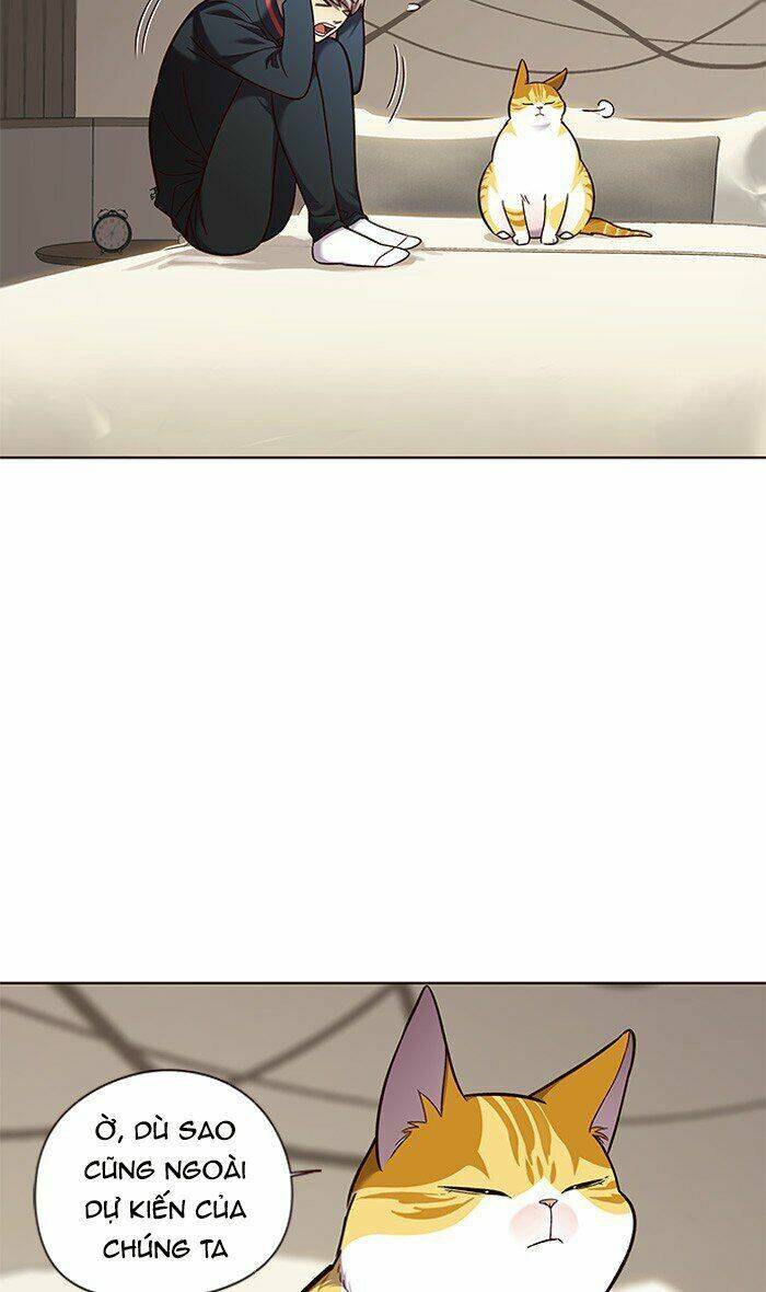 Hoá Thân Thành Mèo - Chapter 82 - Page 6