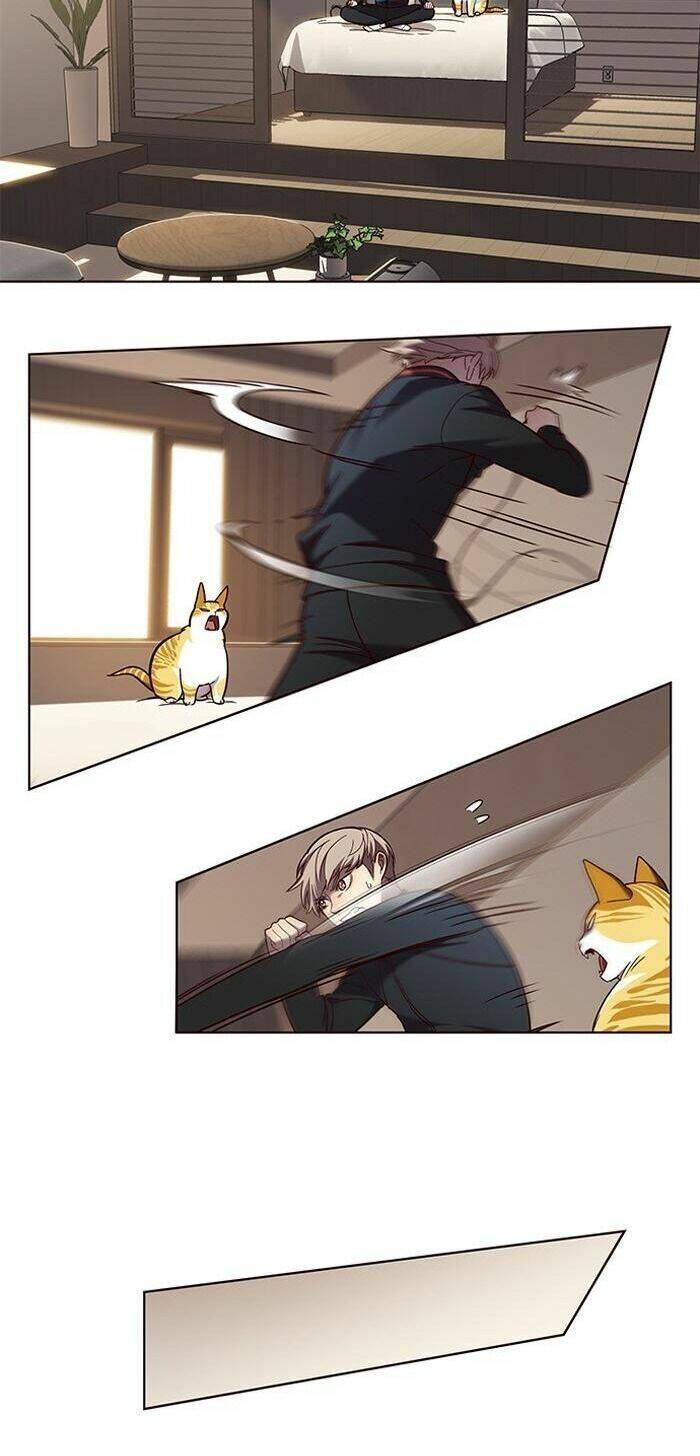 Hoá Thân Thành Mèo - Chapter 83 - Page 29