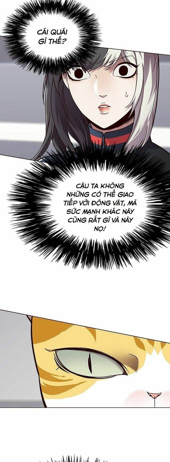 Hoá Thân Thành Mèo - Chapter 87 - Page 12