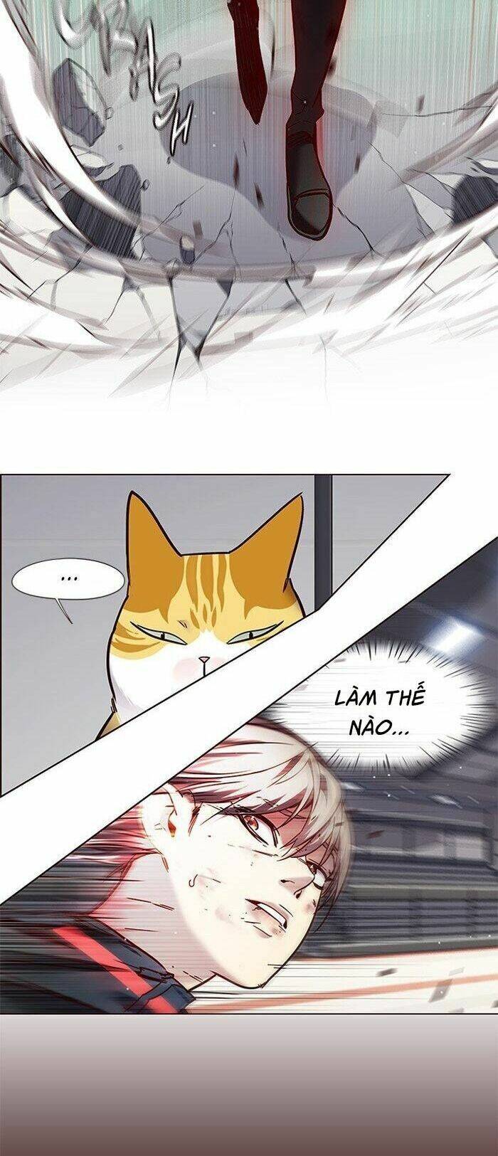Hoá Thân Thành Mèo - Chapter 87 - Page 38