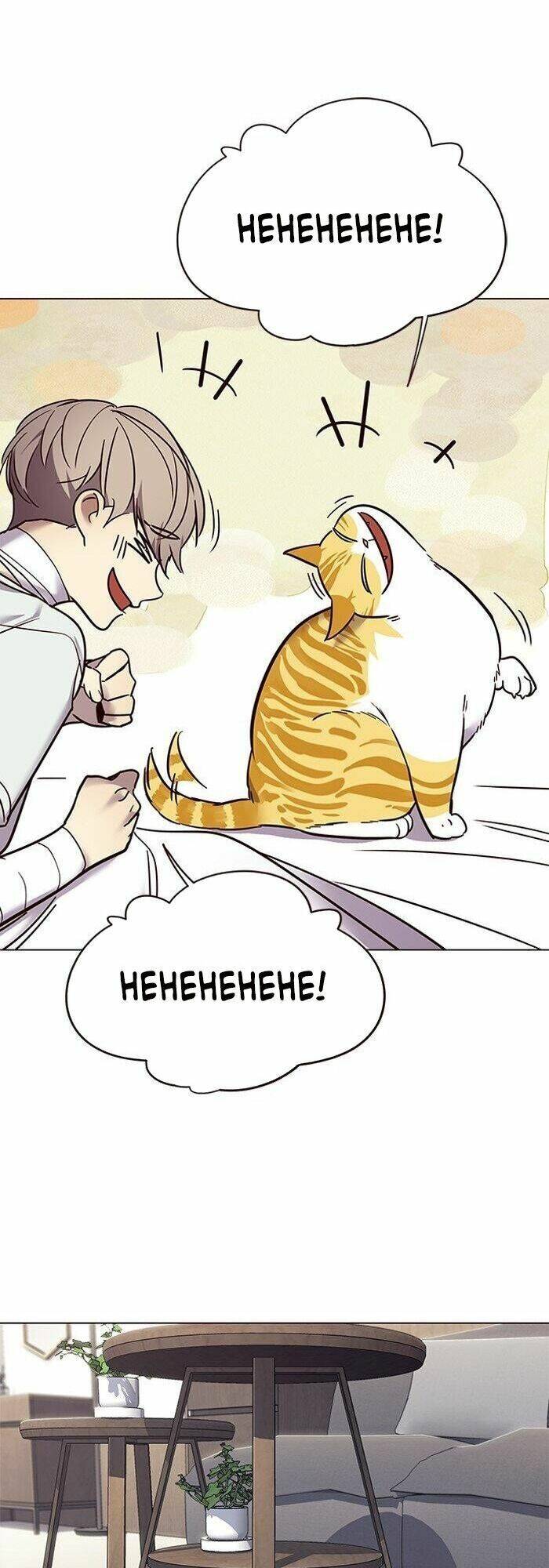 Hoá Thân Thành Mèo - Chapter 88 - Page 17