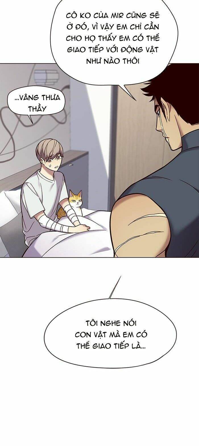 Hoá Thân Thành Mèo - Chapter 89 - Page 13