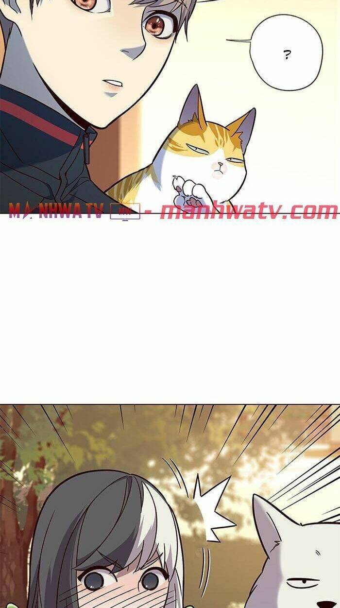 Hoá Thân Thành Mèo - Chapter 89 - Page 25