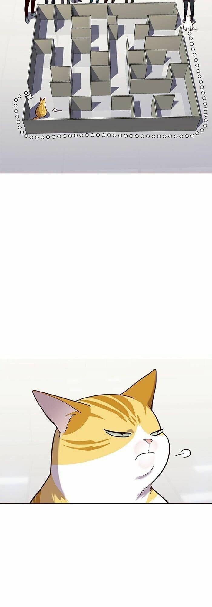 Hoá Thân Thành Mèo - Chapter 89 - Page 35