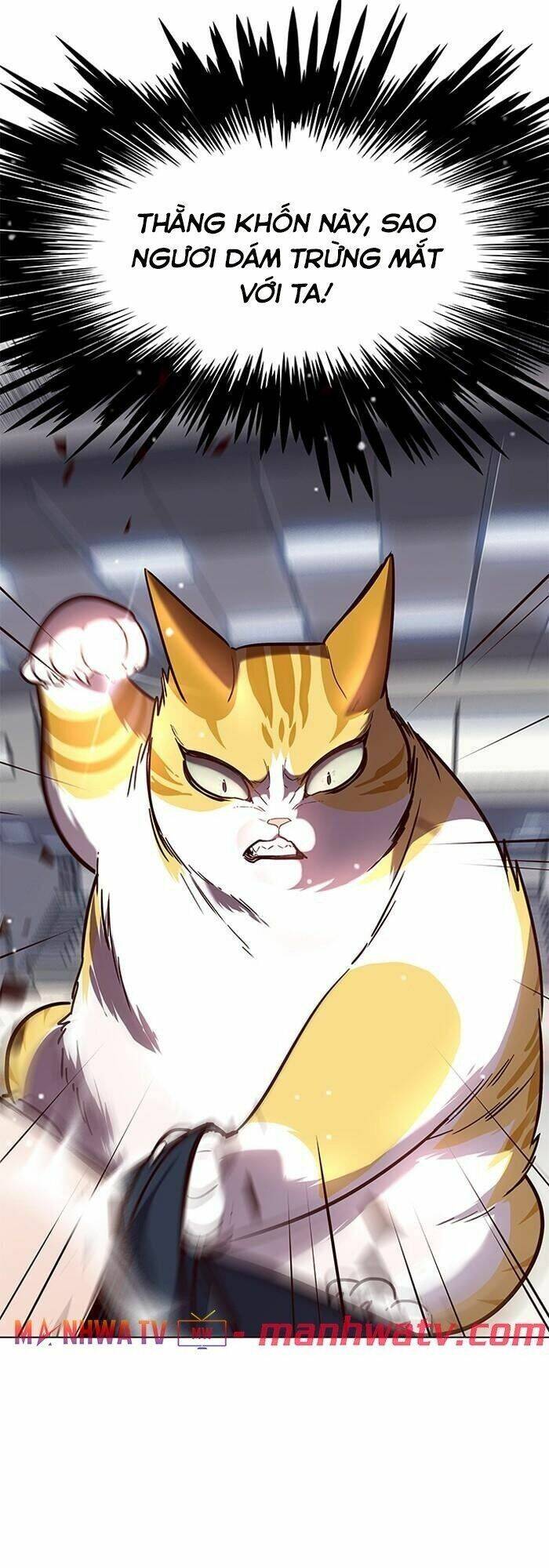 Hoá Thân Thành Mèo - Chapter 89 - Page 52