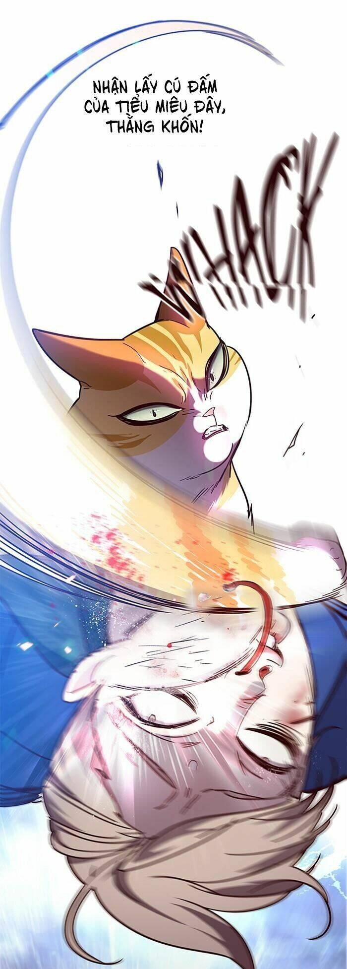Hoá Thân Thành Mèo - Chapter 89 - Page 53