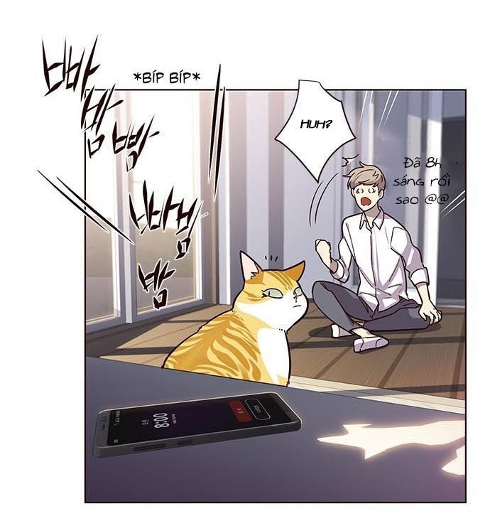 Hoá Thân Thành Mèo - Chapter 9 - Page 10