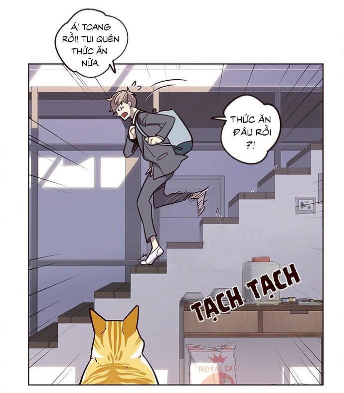 Hoá Thân Thành Mèo - Chapter 9 - Page 12