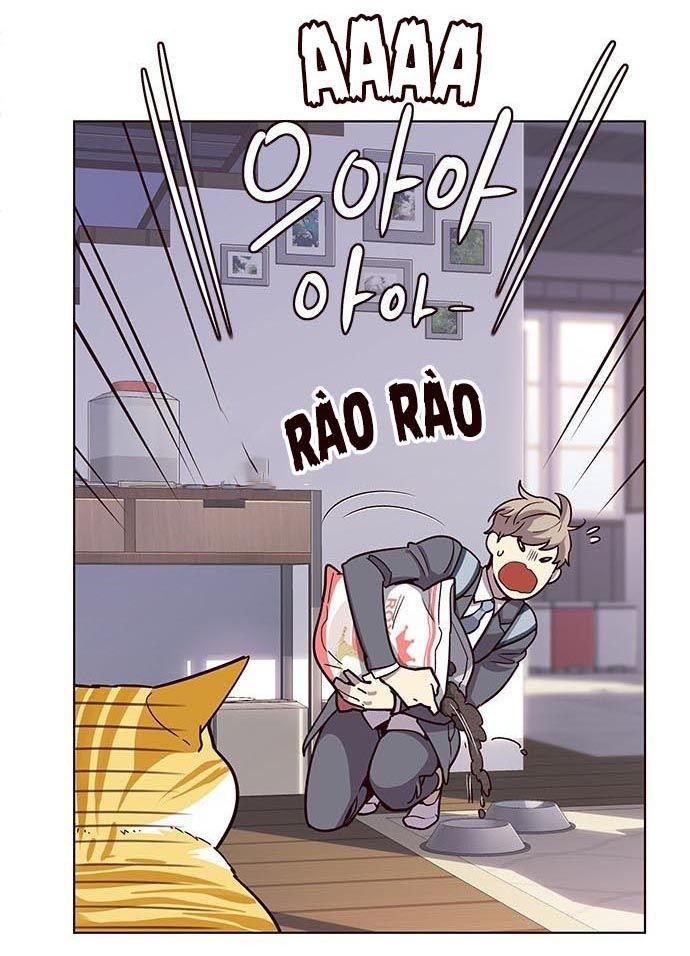 Hoá Thân Thành Mèo - Chapter 9 - Page 13