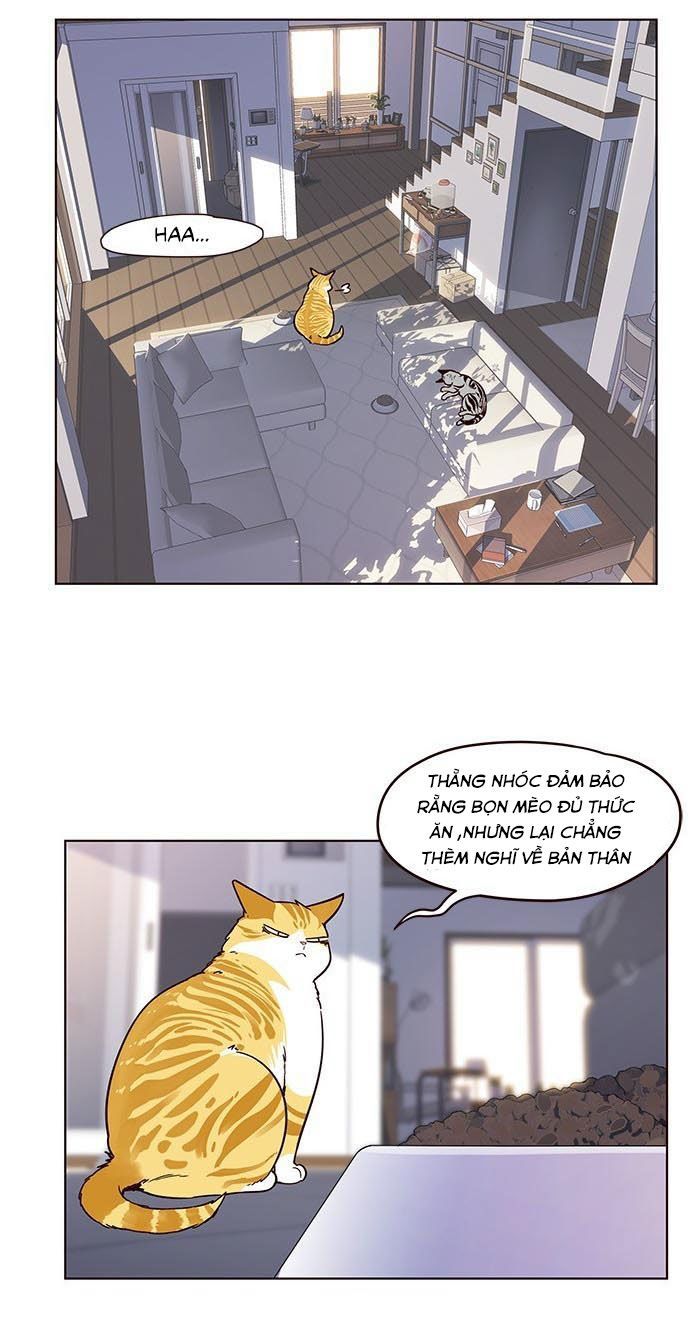 Hoá Thân Thành Mèo - Chapter 9 - Page 25