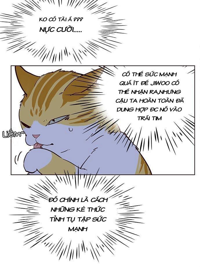 Hoá Thân Thành Mèo - Chapter 9 - Page 26