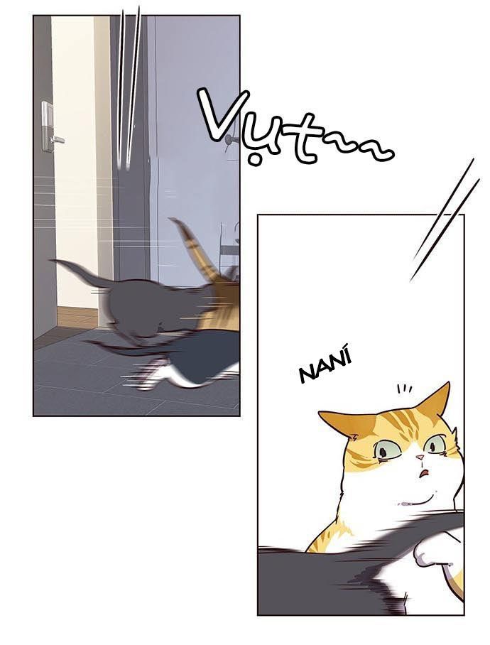 Hoá Thân Thành Mèo - Chapter 9 - Page 32