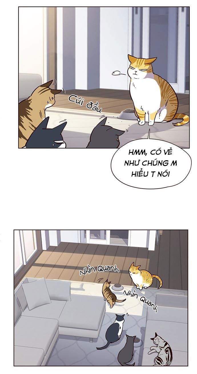 Hoá Thân Thành Mèo - Chapter 9 - Page 35