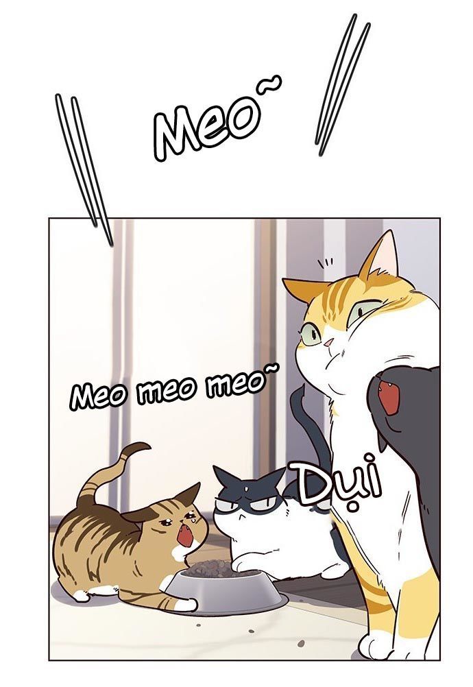 Hoá Thân Thành Mèo - Chapter 9 - Page 37