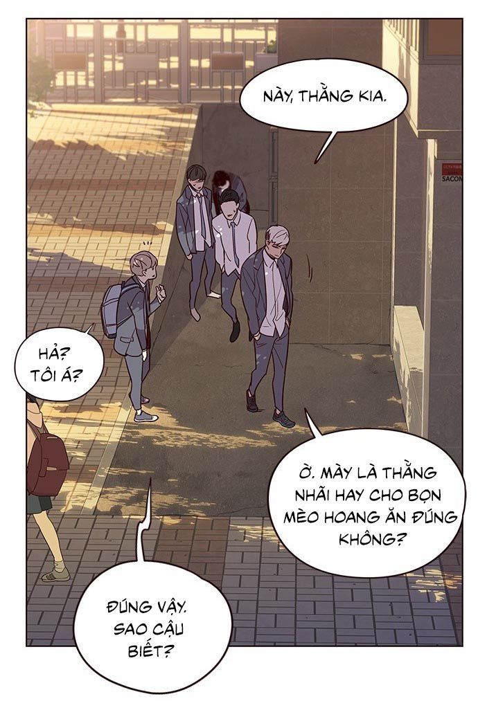 Hoá Thân Thành Mèo - Chapter 9 - Page 54