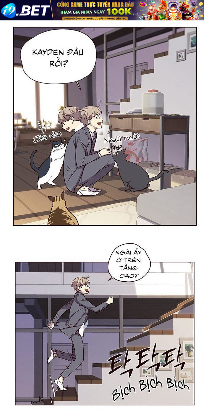 Hoá Thân Thành Mèo - Chapter 9 - Page 67