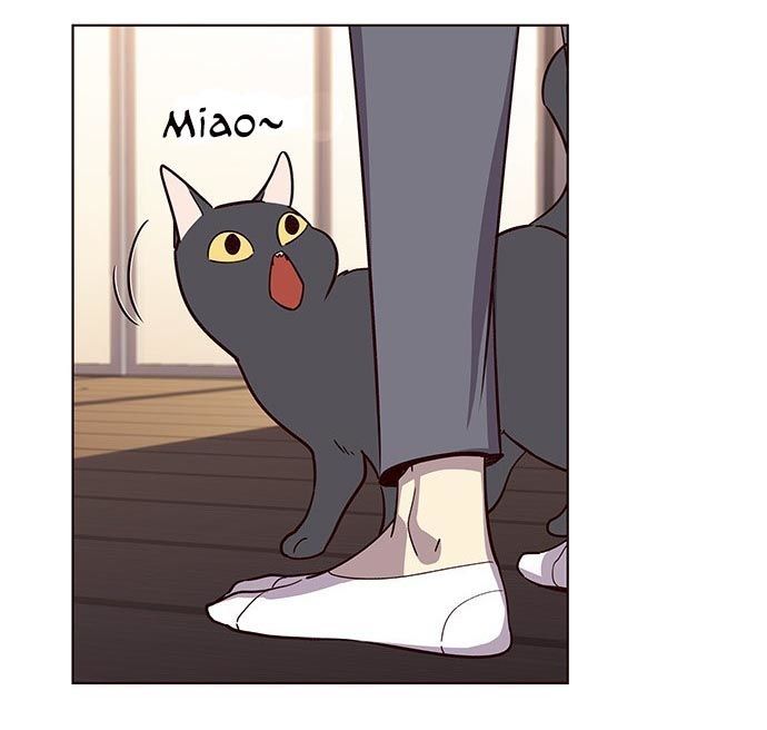 Hoá Thân Thành Mèo - Chapter 9 - Page 73