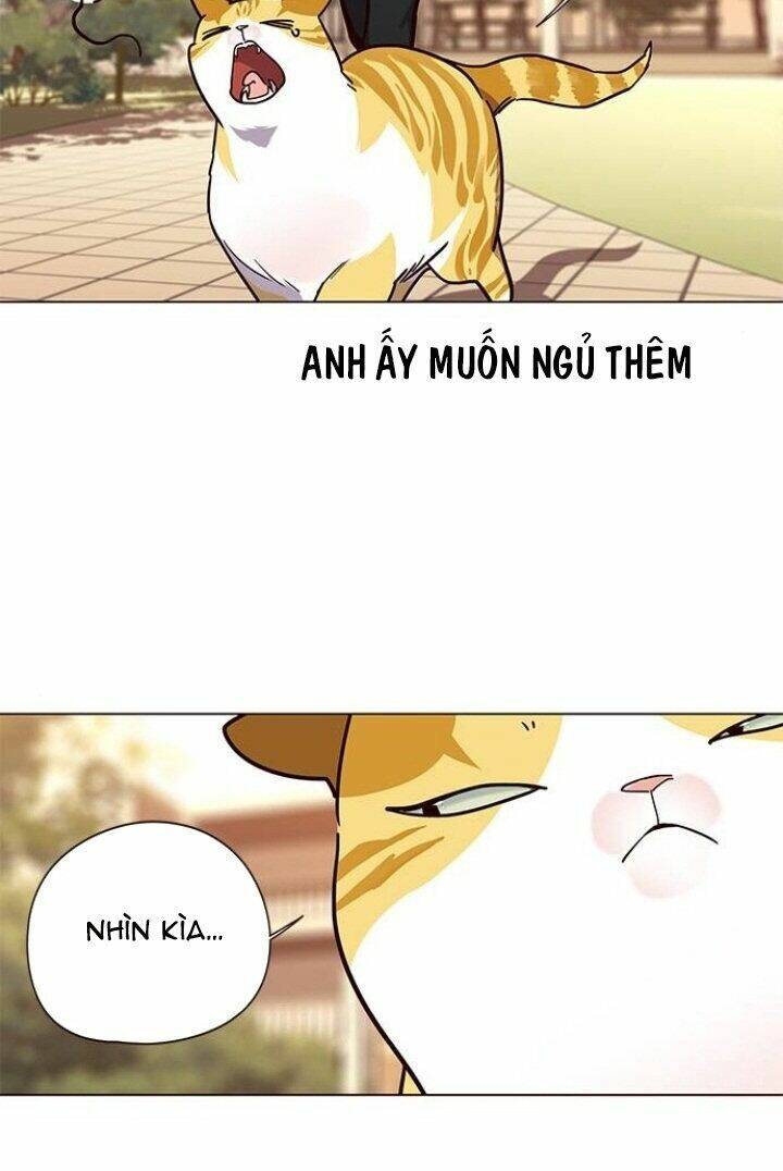 Hoá Thân Thành Mèo - Chapter 90 - Page 39