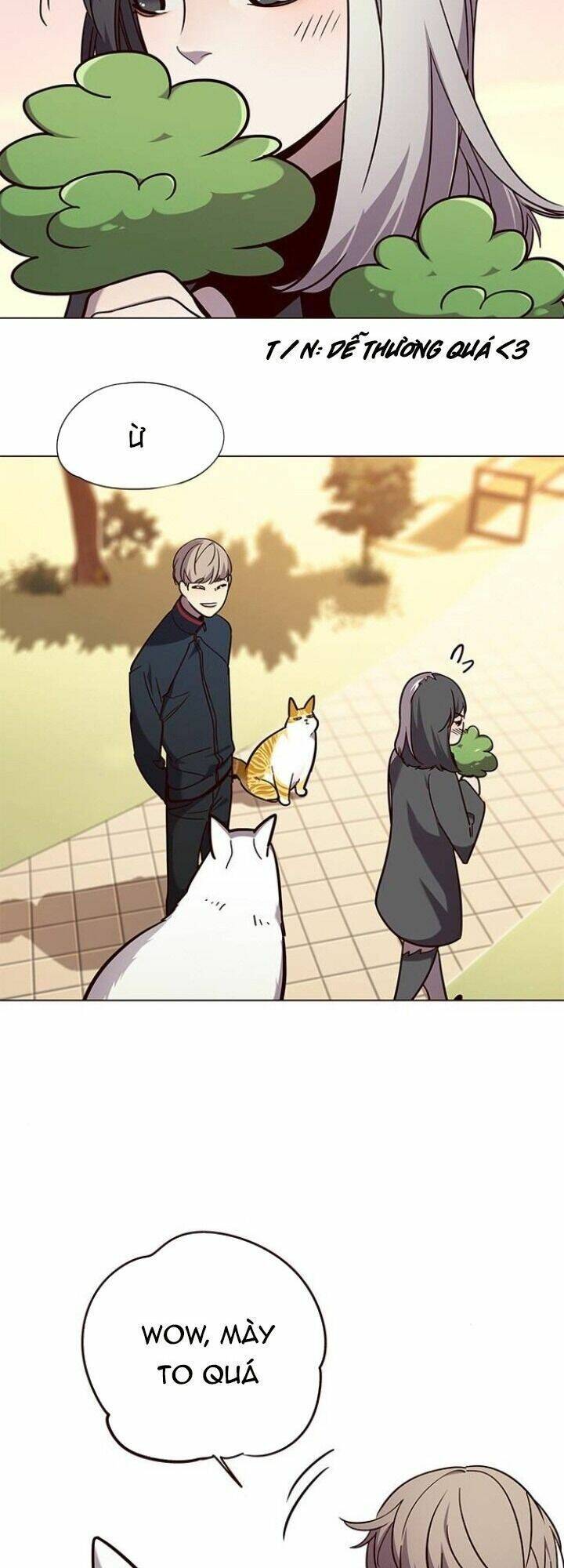 Hoá Thân Thành Mèo - Chapter 90 - Page 42