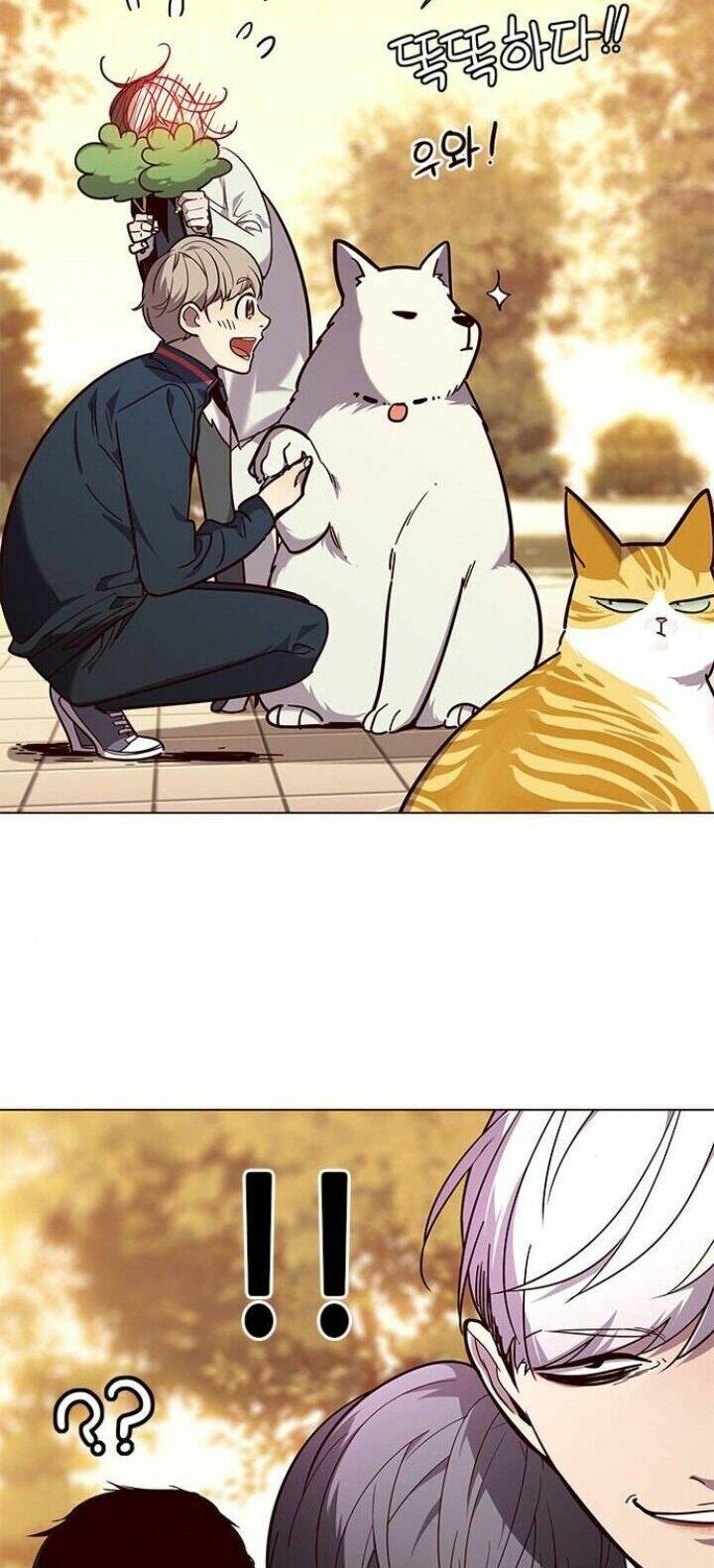 Hoá Thân Thành Mèo - Chapter 90 - Page 55