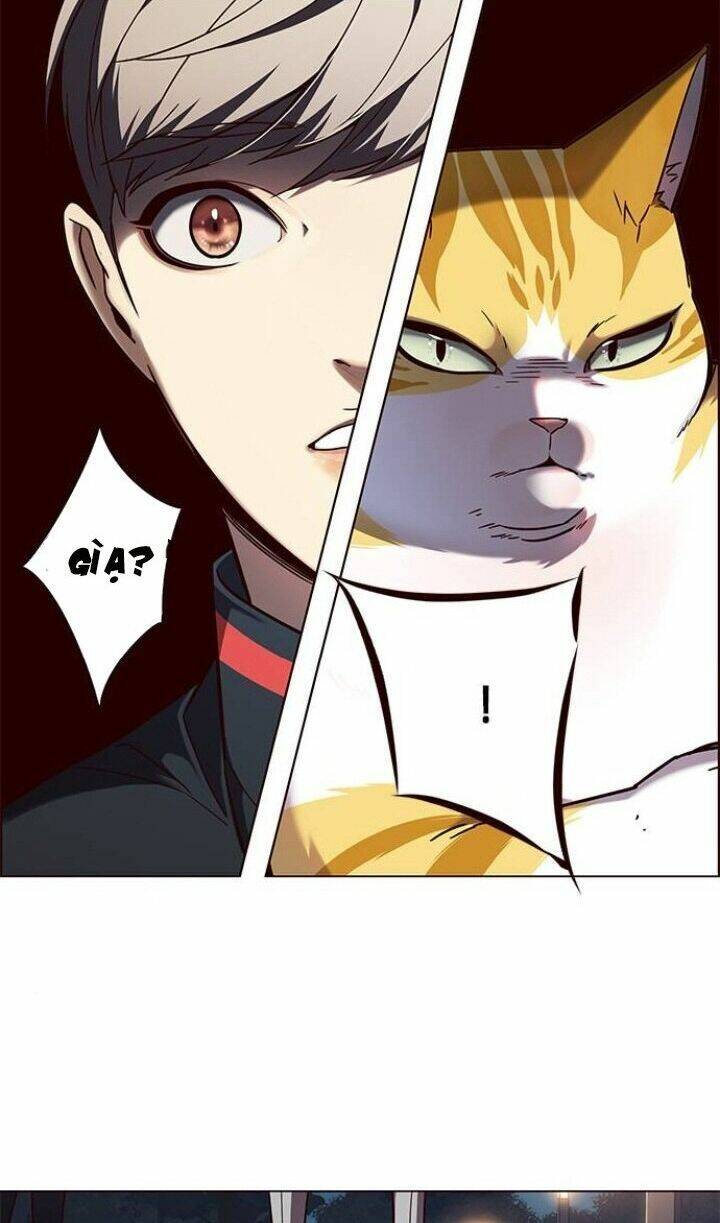 Hoá Thân Thành Mèo - Chapter 91 - Page 35