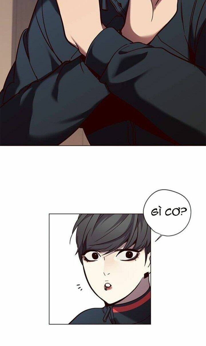 Hoá Thân Thành Mèo - Chapter 91 - Page 4