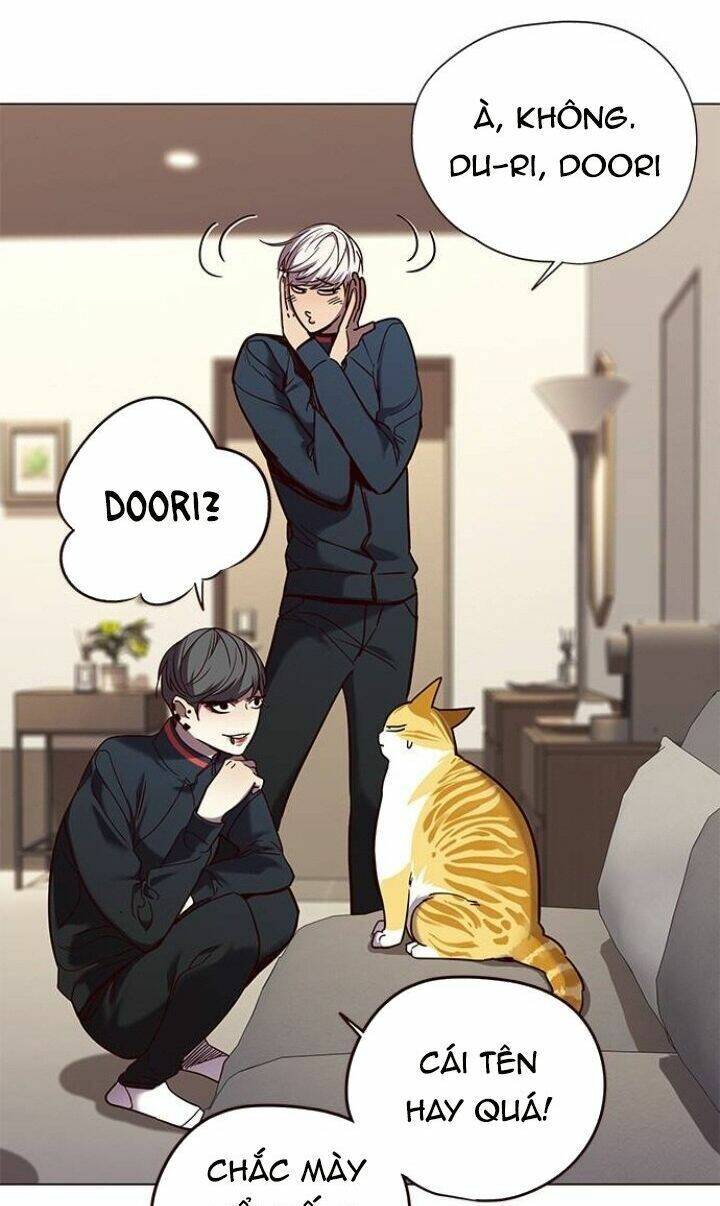 Hoá Thân Thành Mèo - Chapter 91 - Page 5