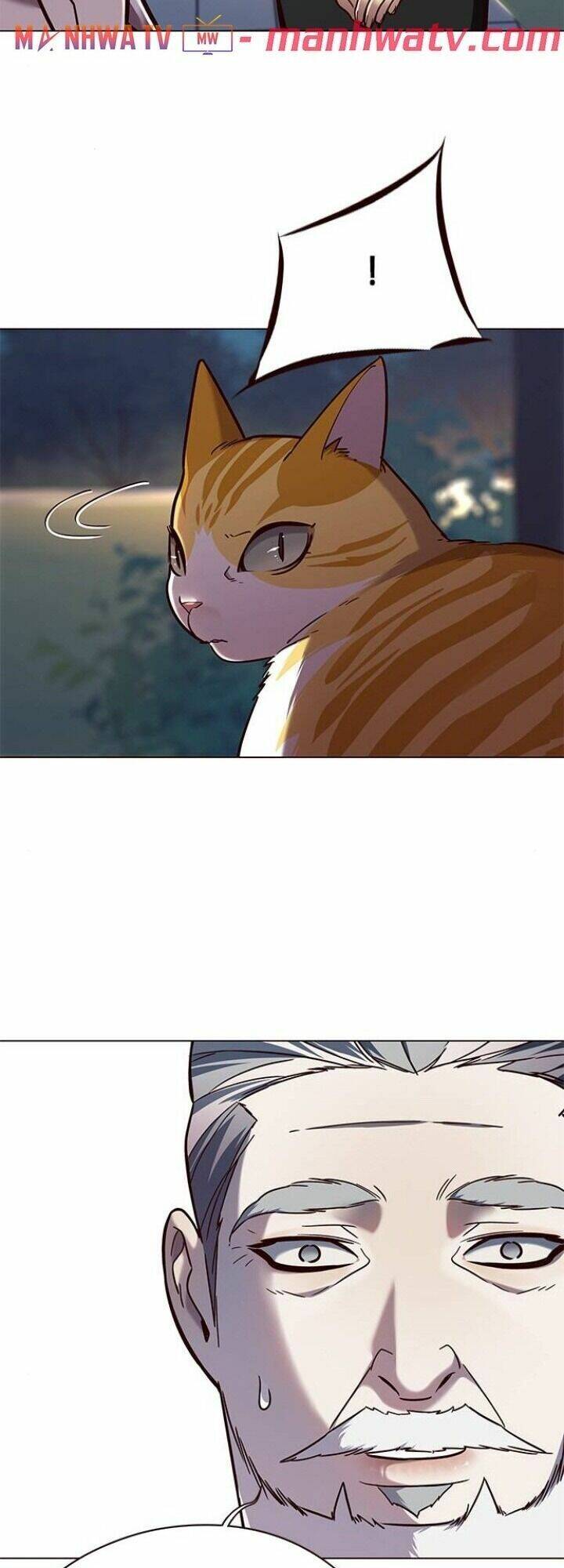 Hoá Thân Thành Mèo - Chapter 91 - Page 51