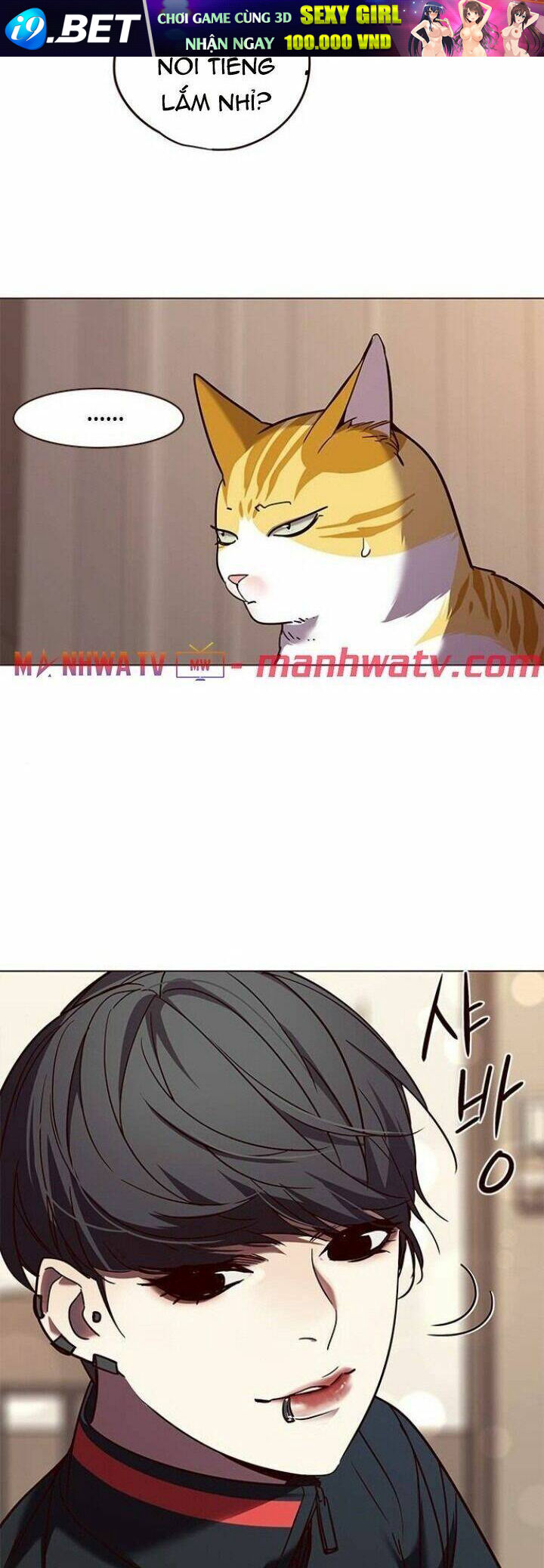 Hoá Thân Thành Mèo - Chapter 91 - Page 6