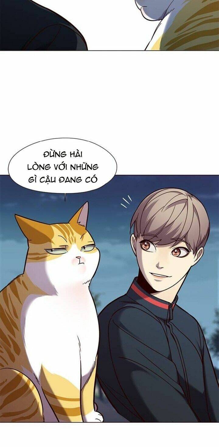 Hoá Thân Thành Mèo - Chapter 91 - Page 60