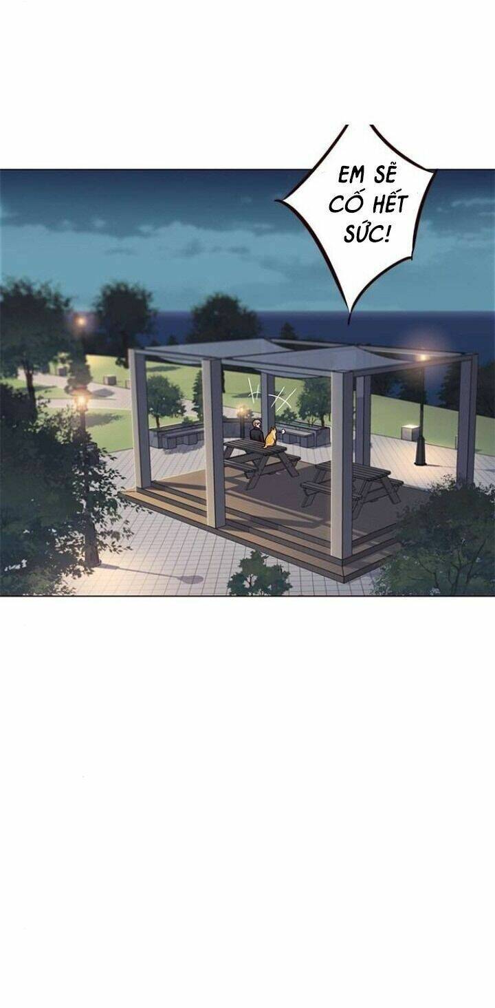 Hoá Thân Thành Mèo - Chapter 91 - Page 61